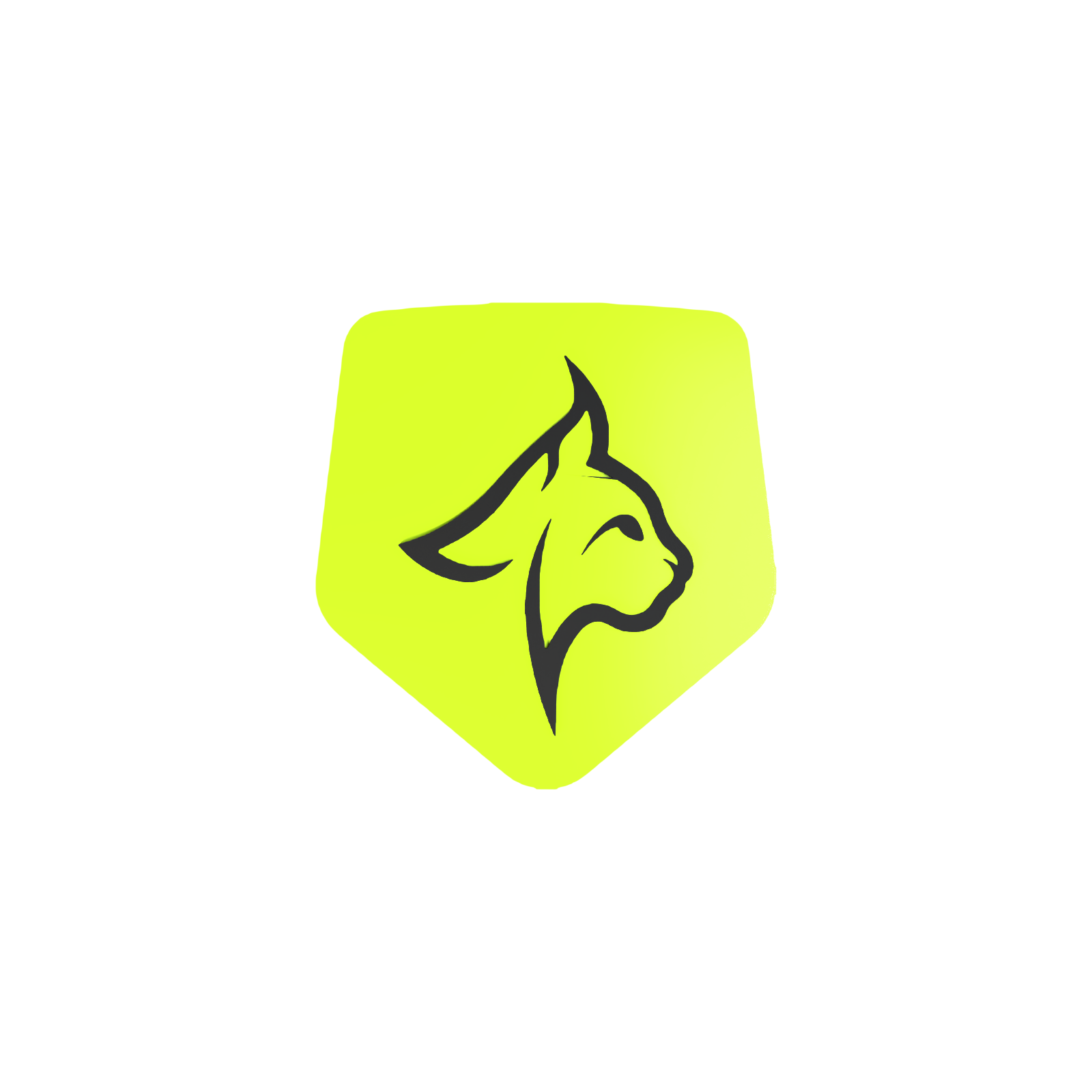 Lynx Media
